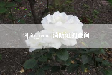 福建消防证的查询