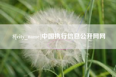 福建中国执行信息公开网网