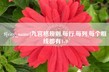 福建九宫格规则,每行,每列,每个粗线都有1-9