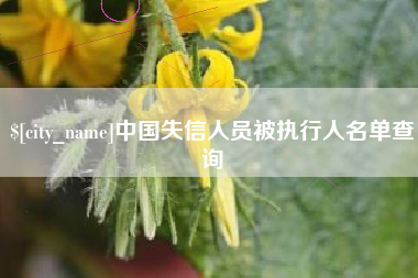 福建中国失信人员被执行人名单查询
