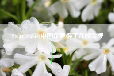 福建中国金牌得了几枚金牌