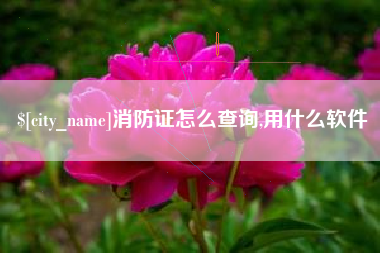 福建消防证怎么查询,用什么软件