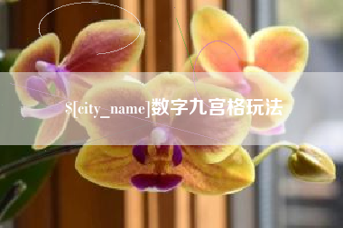 福建数字九宫格玩法