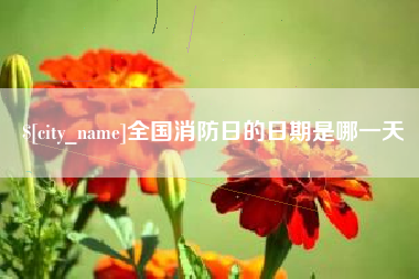 福建全国消防日的日期是哪一天