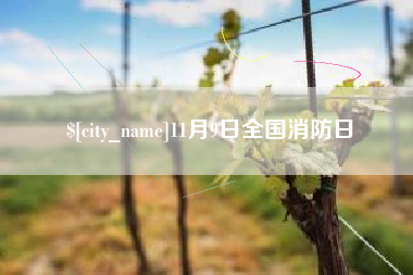 福建11月9日全国消防日