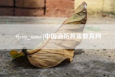 福建中国消防救援教育网