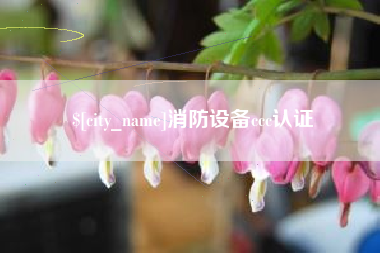 福建消防设备ccc认证