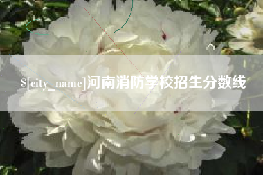 福建河南消防学校招生分数线