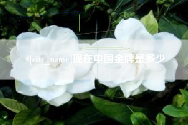 福建现在中国金牌是多少