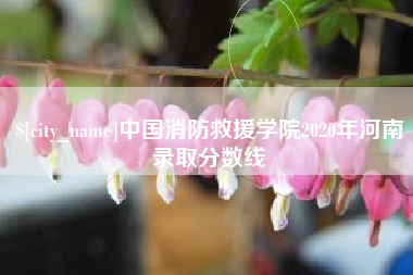 福建中国消防救援学院2020年河南录取分数线