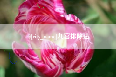 福建九宫排除法