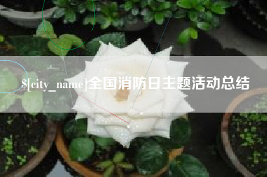 福建全国消防日主题活动总结