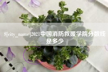 福建2021中国消防救援学院分数线是多少