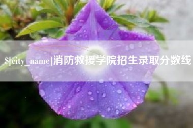 福建消防救援学院招生录取分数线
