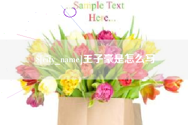 福建王子豪是怎么写