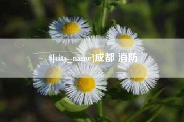 福建成都 消防