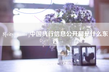 福建中国执行信息公开网是什么东西