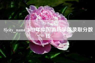 福建2021年中国消防学院录取分数线