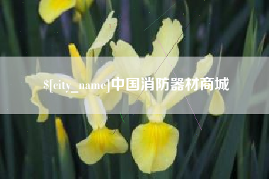 福建中国消防器材商城