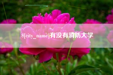 福建有没有消防大学