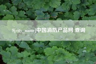 福建中国消防产品网 查询