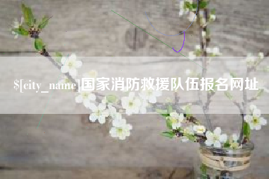 福建国家消防救援队伍报名网址
