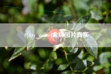 福建金牌图片真实