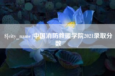 福建中国消防救援学院2021录取分数