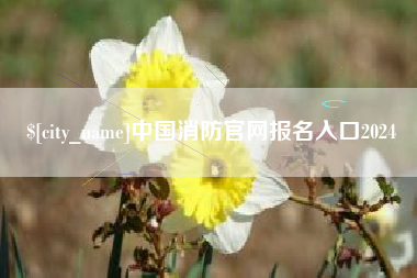 福建中国消防官网报名入口2024