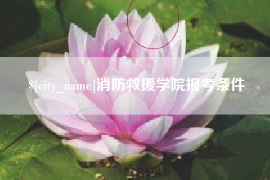 福建消防救援学院报考条件