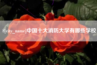 福建中国十大消防大学有哪些学校