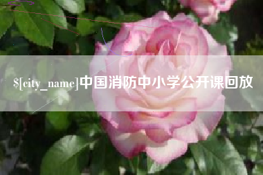 福建中国消防中小学公开课回放