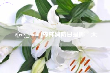 福建森林消防日是哪一天