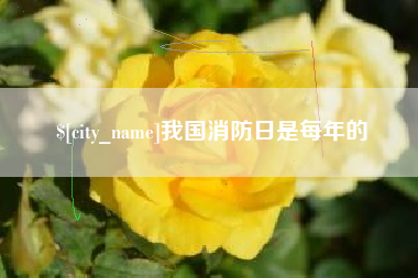 福建我国消防日是每年的