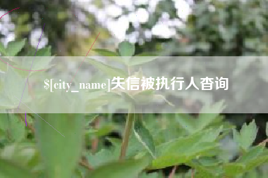 福建失信被执行人杳询