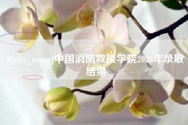 福建中国消防救援学院2020年录取结果