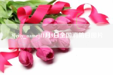 福建11月9日全国消防日图片