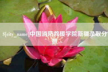 福建中国消防救援学院新疆录取分数