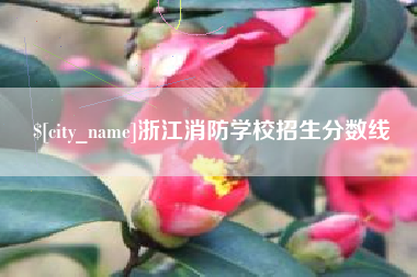 福建浙江消防学校招生分数线