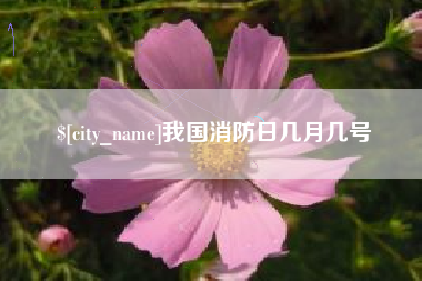 福建我国消防日几月几号