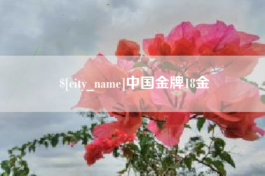 福建中国金牌18金