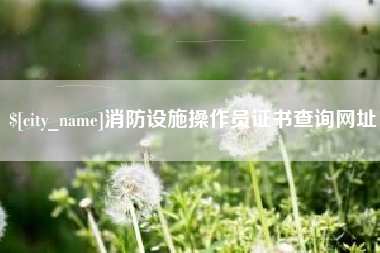 福建消防设施操作员证书查询网址