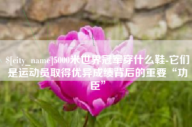 福建5000米世界冠军穿什么鞋-它们是运动员取得优异成绩背后的重要“功臣”