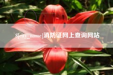 福建消防证网上查询网站