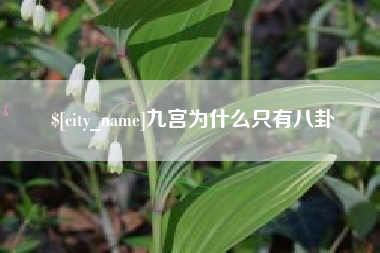 福建九宫为什么只有八卦