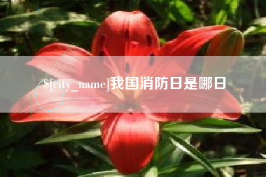 福建我国消防日是哪日