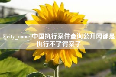 福建中国执行案件查询公开网都是执行不了得案子