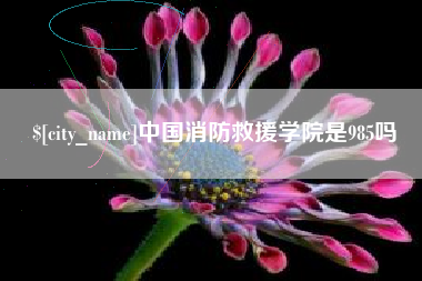 福建中国消防救援学院是985吗