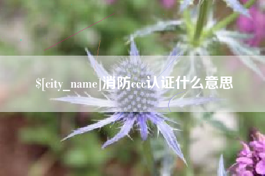 福建消防ccc认证什么意思