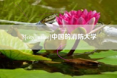 福建中国的消防大学